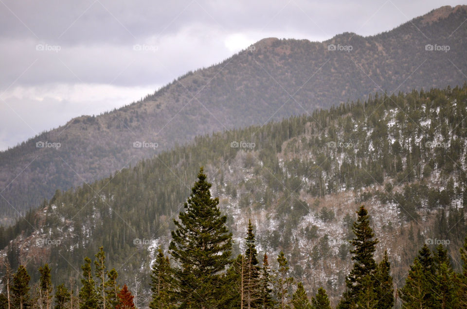 RMNP