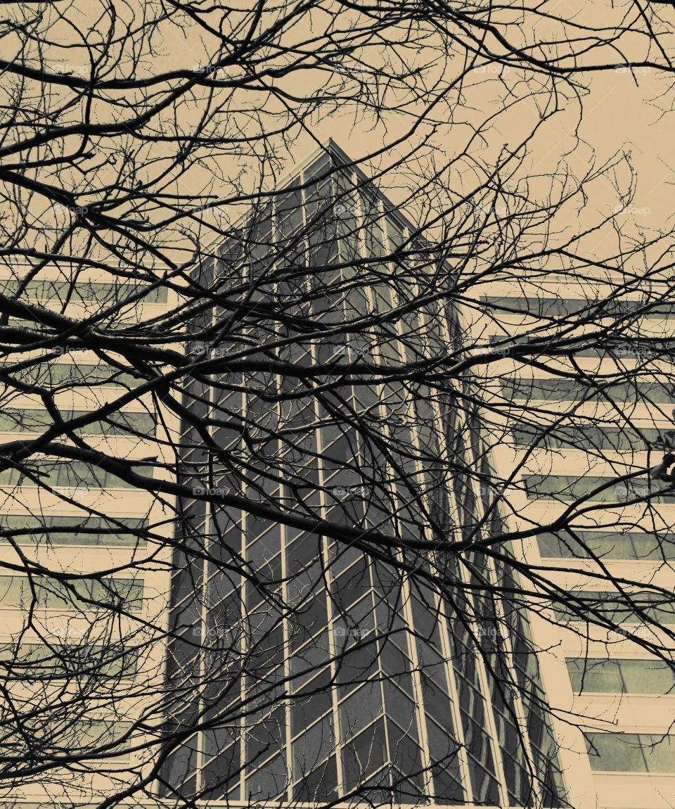 monochrome architecture fused with nature