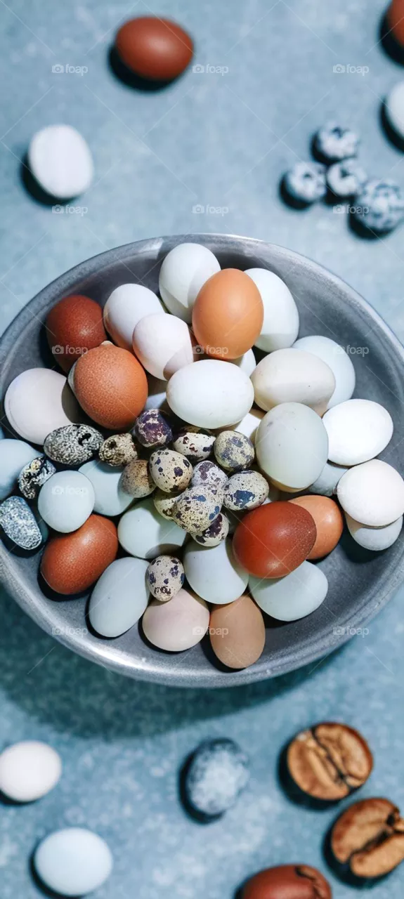 Lot of chicken & quail bird eggs