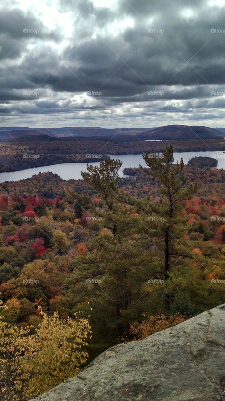 Autumn Splendor/ Bald Mountain/ NY Adirondacks