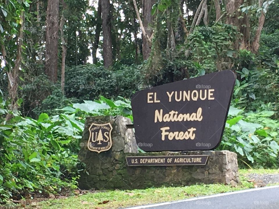 El Yunque National Forest Plaque 