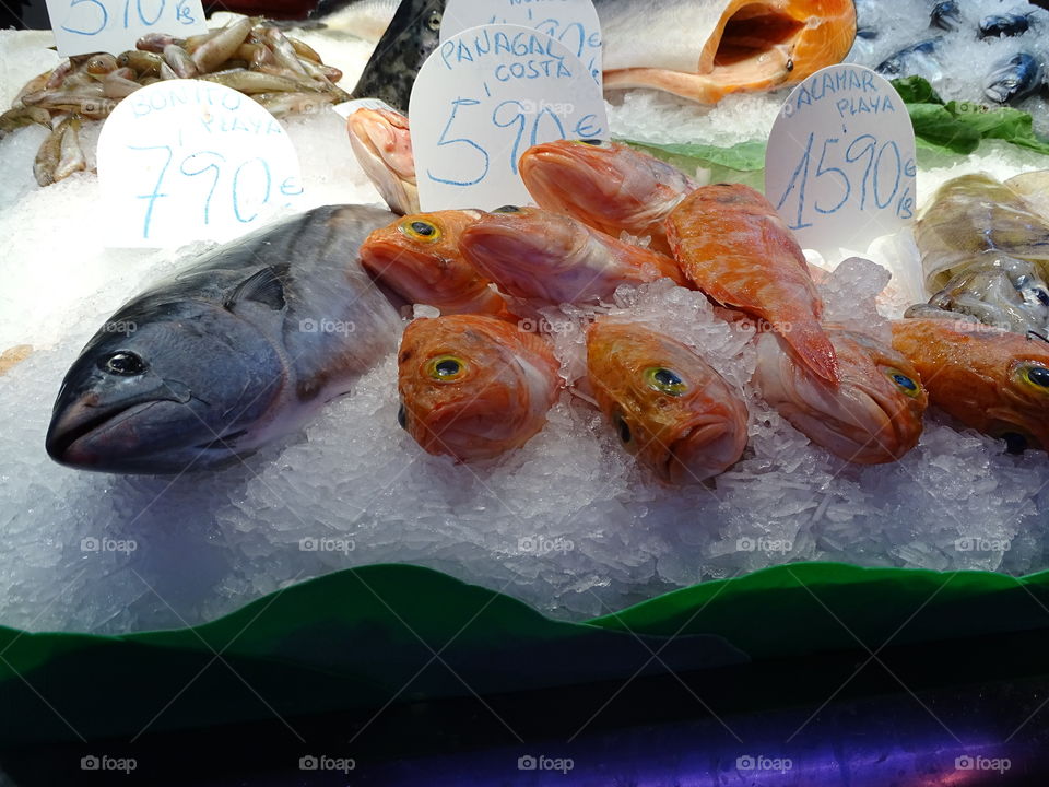 Fresh fish @ Mercat la Boqueria