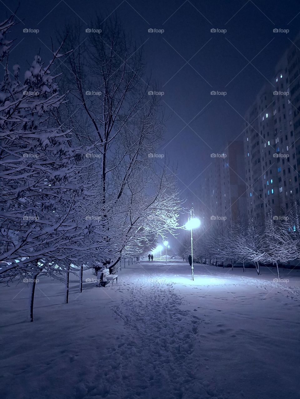 A deserted park in the snow
