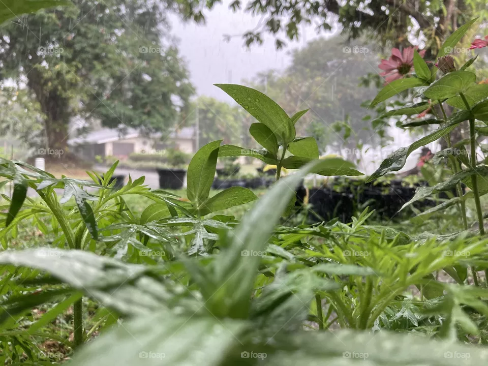 When it is raining