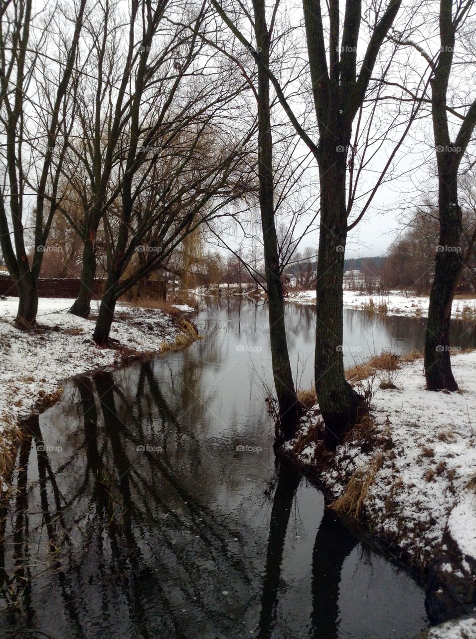 Winter in the Park near Radomyshl Castle