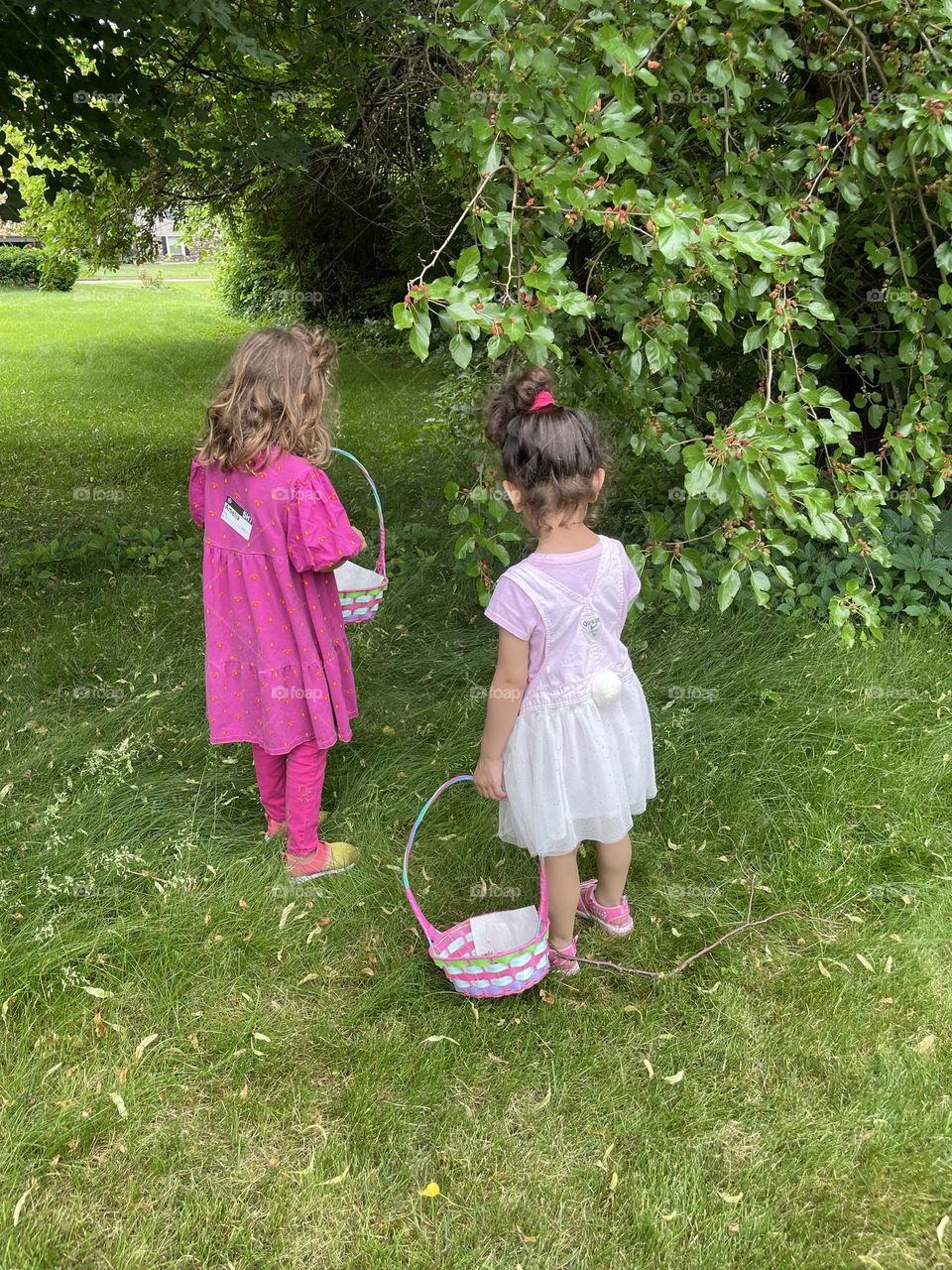 Little girls picking Mulberries from a tree, toddlers picking Mulberries in the summertime, summertime berries in the backyard, fresh berries in the summer