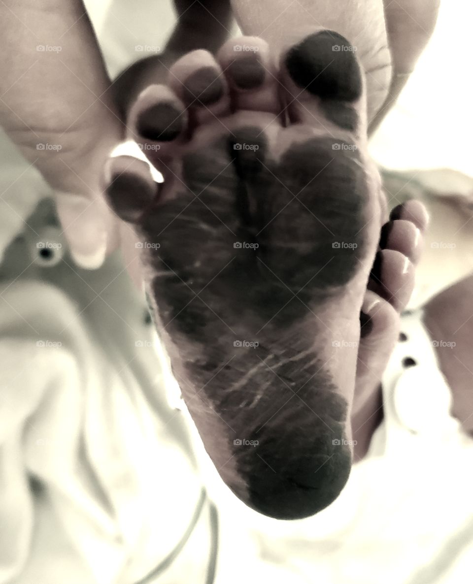 Such a tiny foot with tiny little toes.