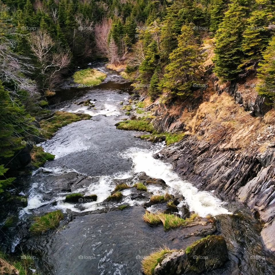 Stream Of Water. A body of water that was found on a adventure