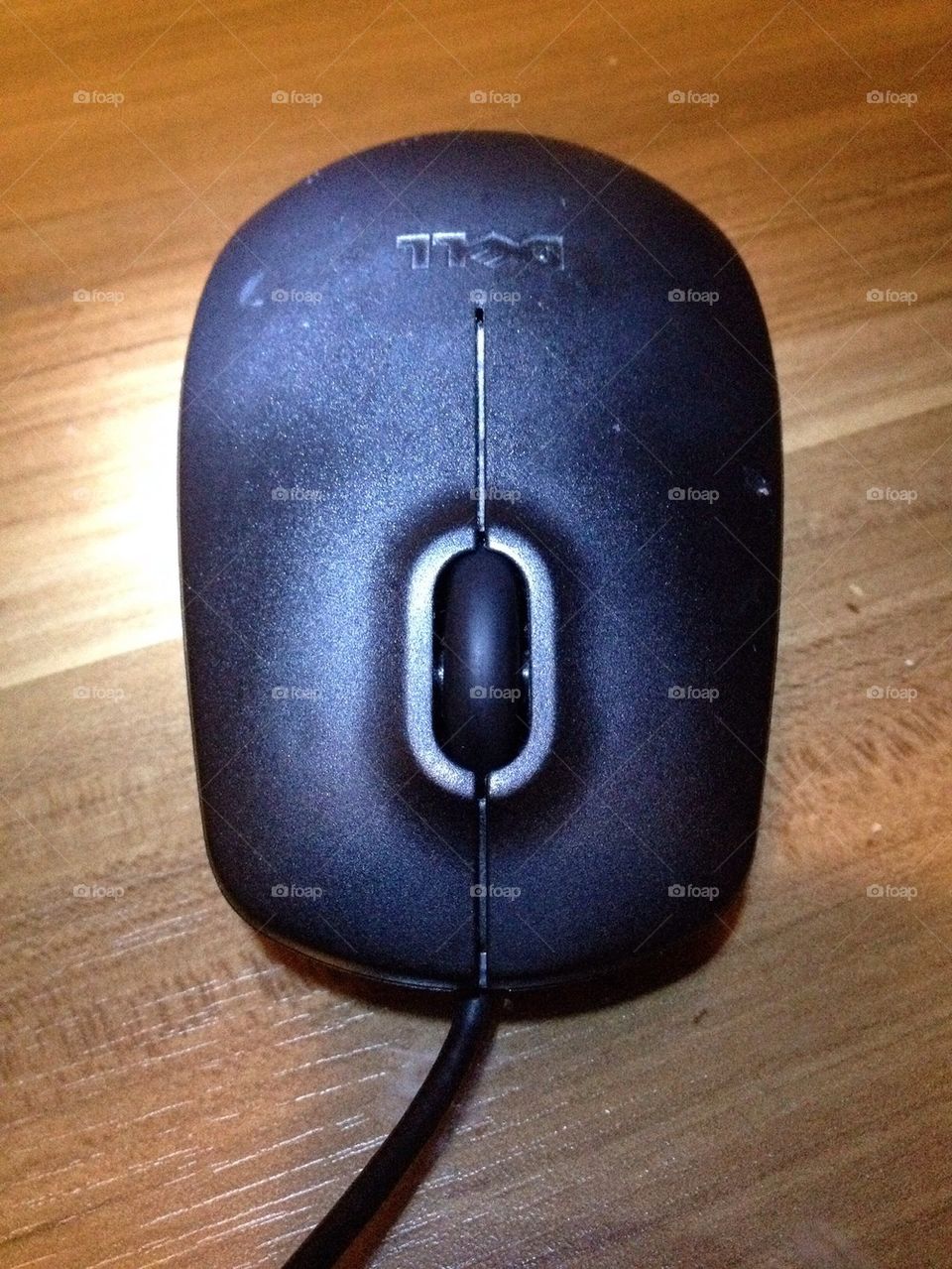 mouse