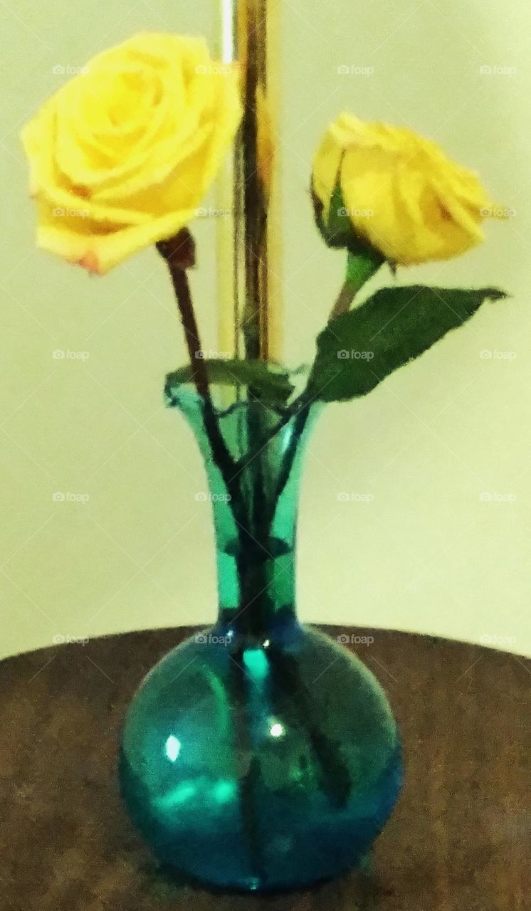 A couple yellow roses in an old, blue,  glass vase bringing sunshine to my eyes.