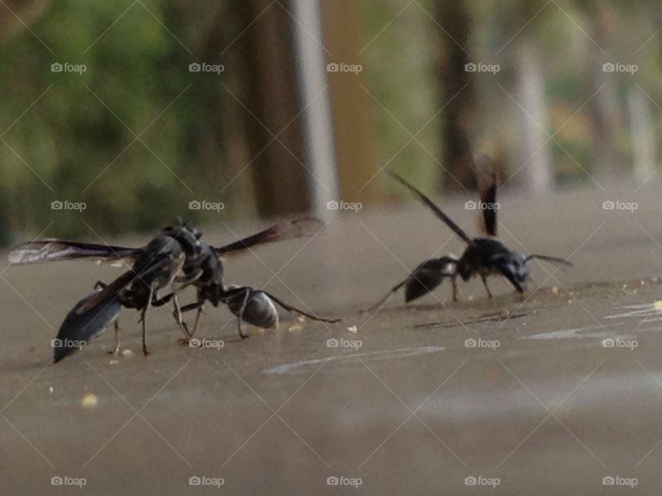 The world as you've never ever seen before