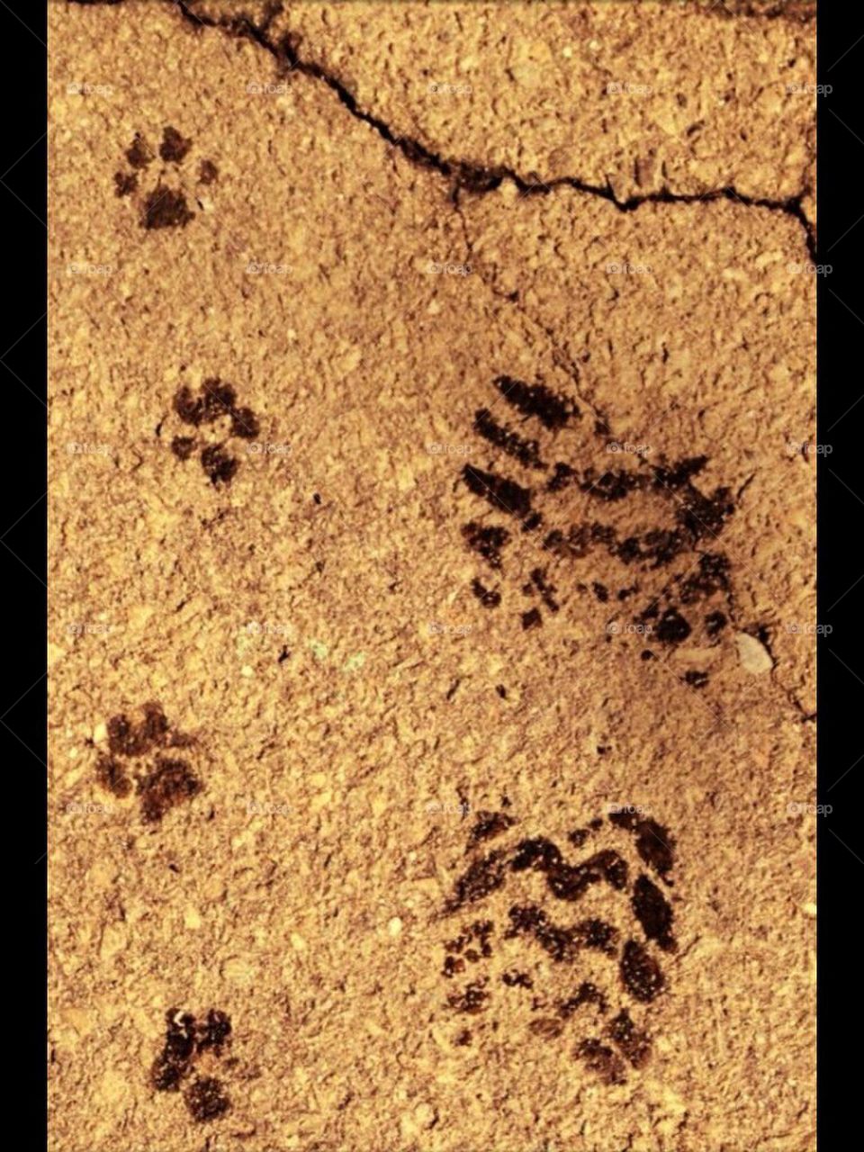 footsteps
