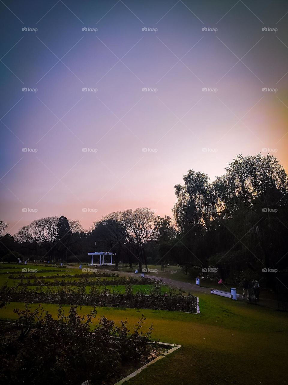 amazing sunset