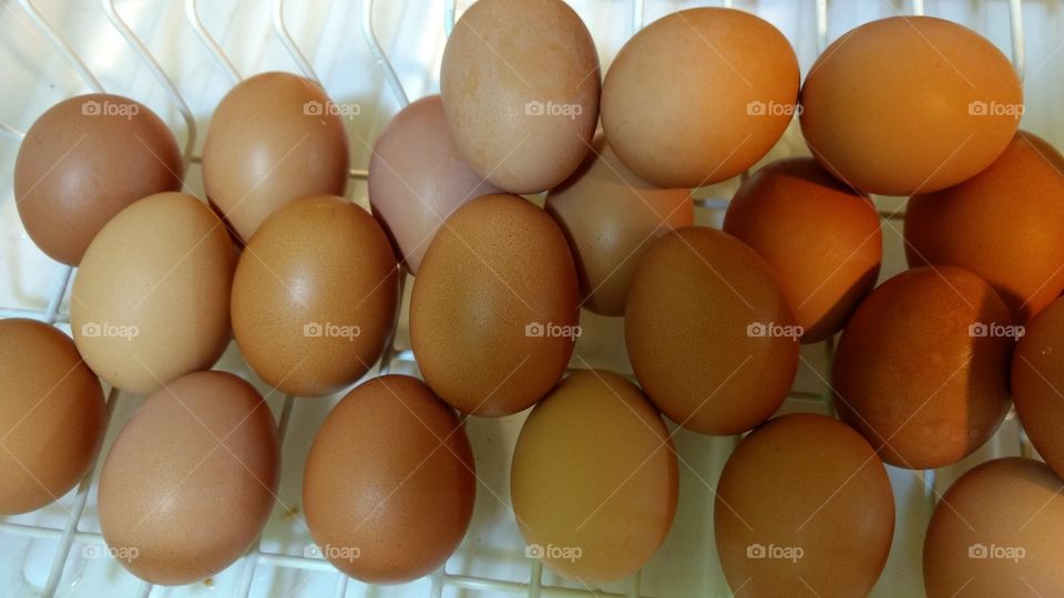 chichen eggs