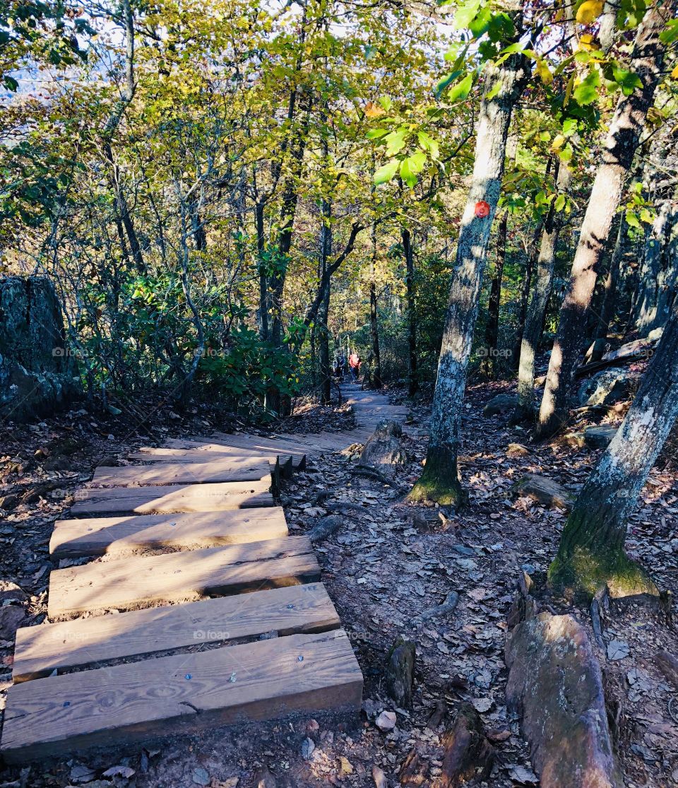 I’ll take the stairs!