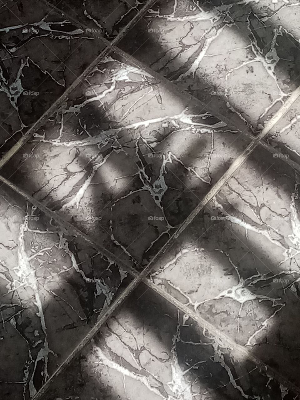 Looking for the Shadow