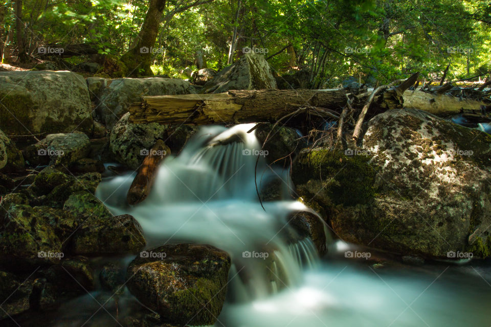 Water, Nature, No Person, River, Wood