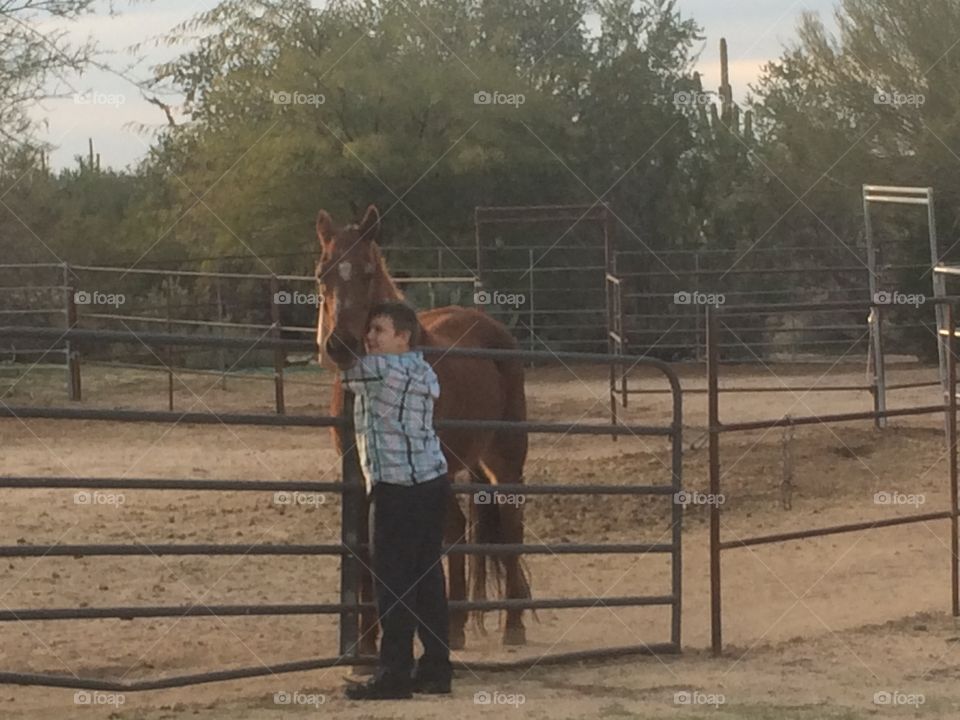 Man standing with horse at farm behind fence