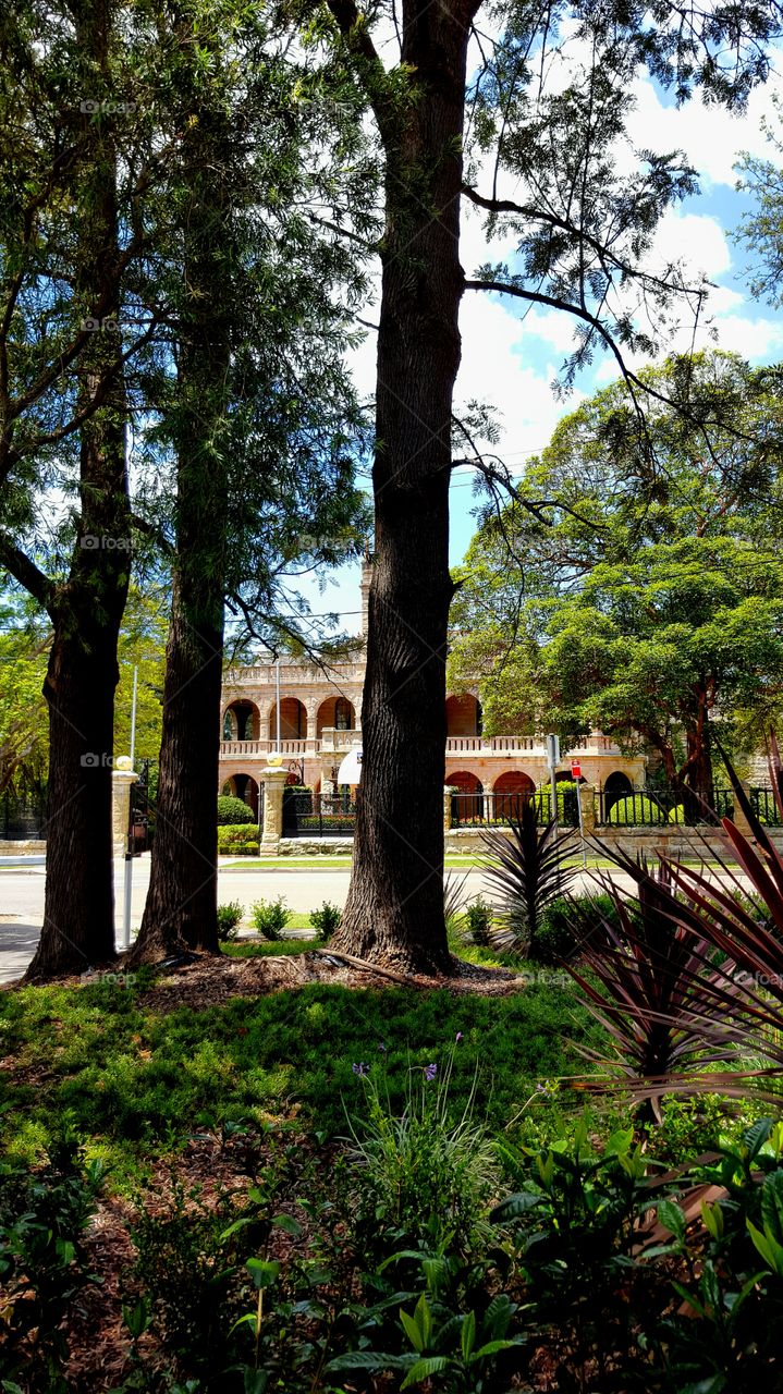 Tree, Park, Wood, Garden, Nature