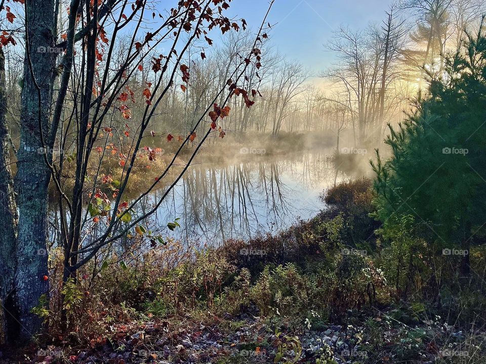 Fog rises over a creek during the sunrise of a New England morning.