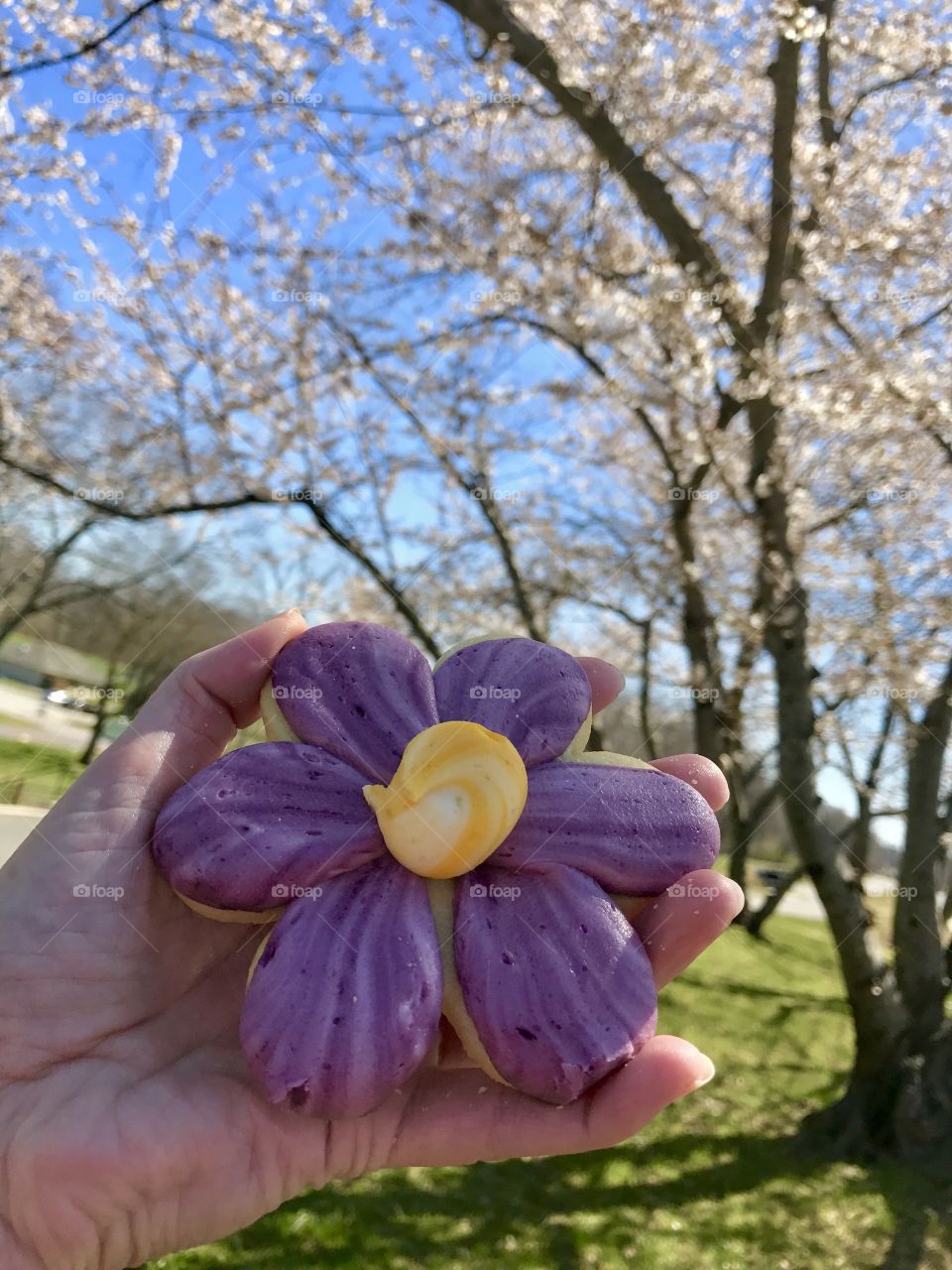 Flower Cookie by Tree Blossoms