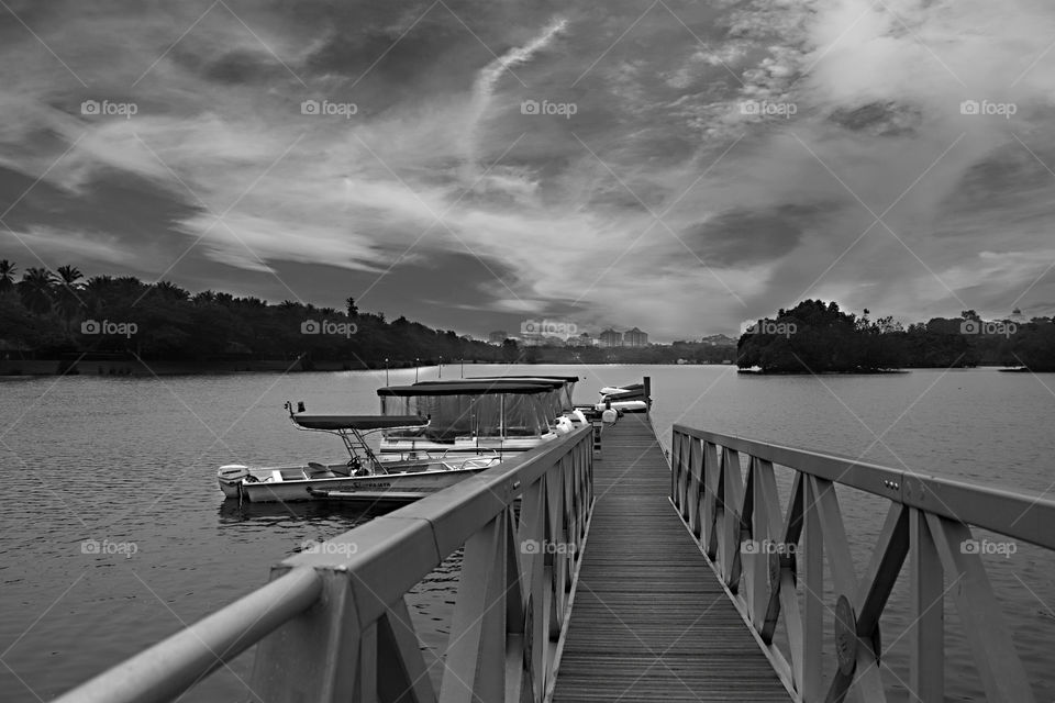 Black and white landscape photography. Location Putrajaya Wetland, Malaysia.