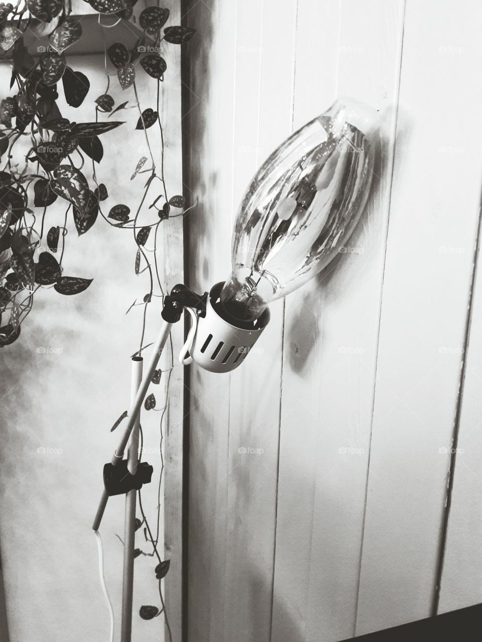 architecture design art chair face black and white photography rest