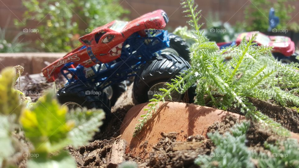 Monster Truck Garden