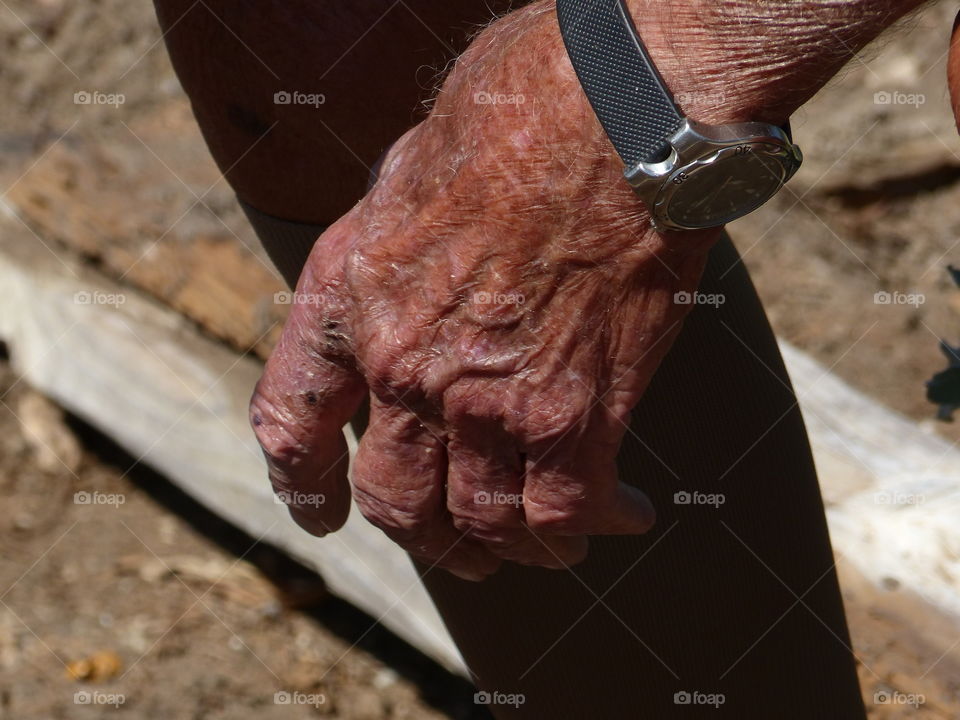 Hand in garden