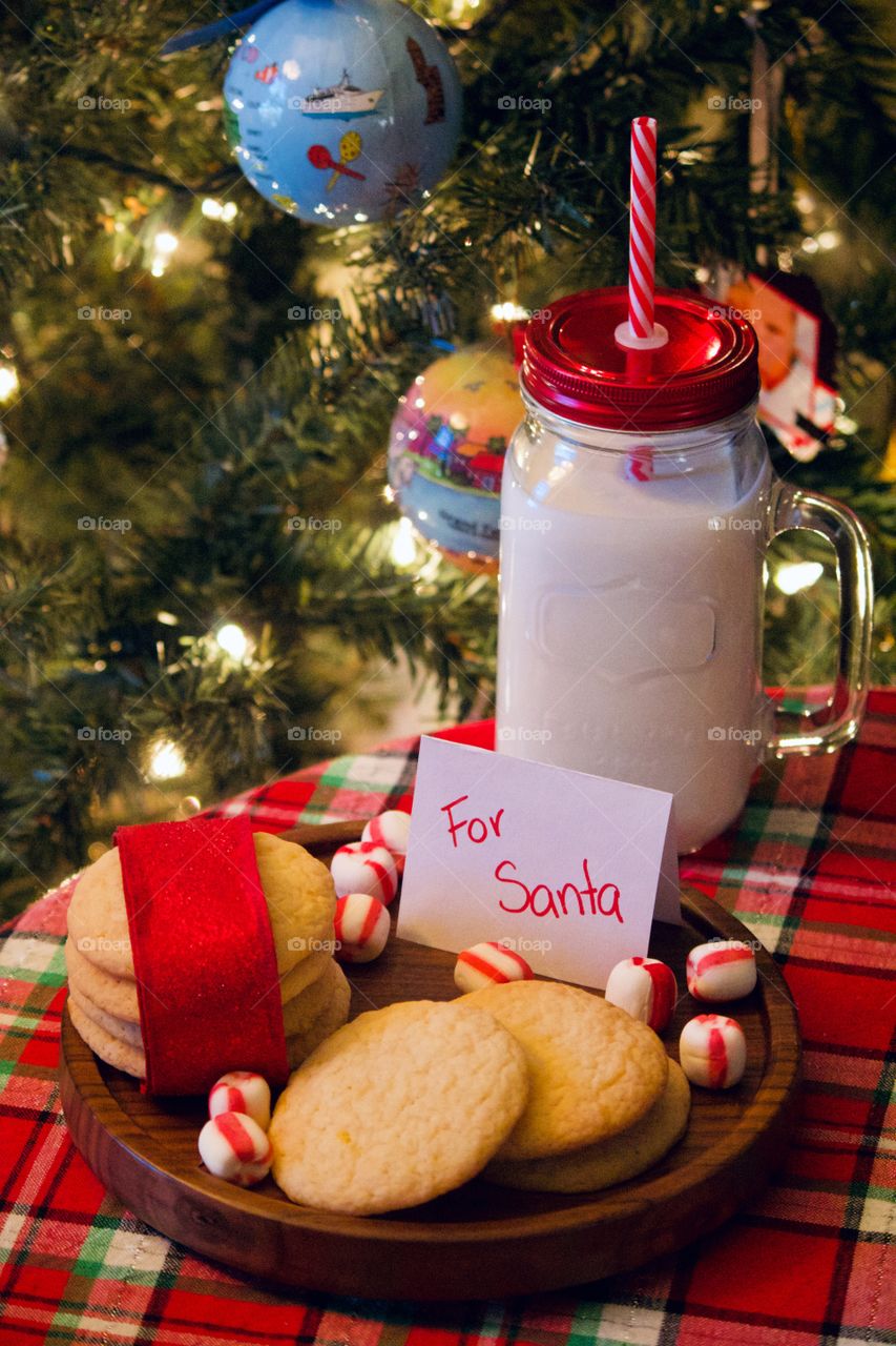 Christmas cookies and milk for Santa 