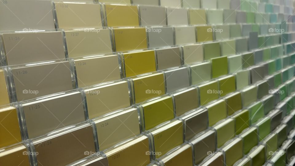 which should I pick?