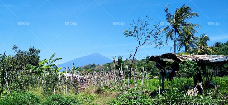 Your creation is so beautiful