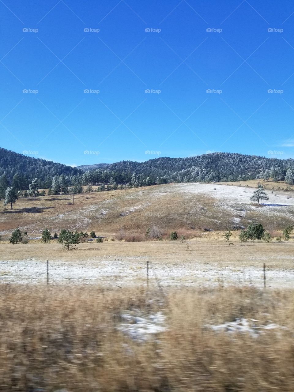 colorado