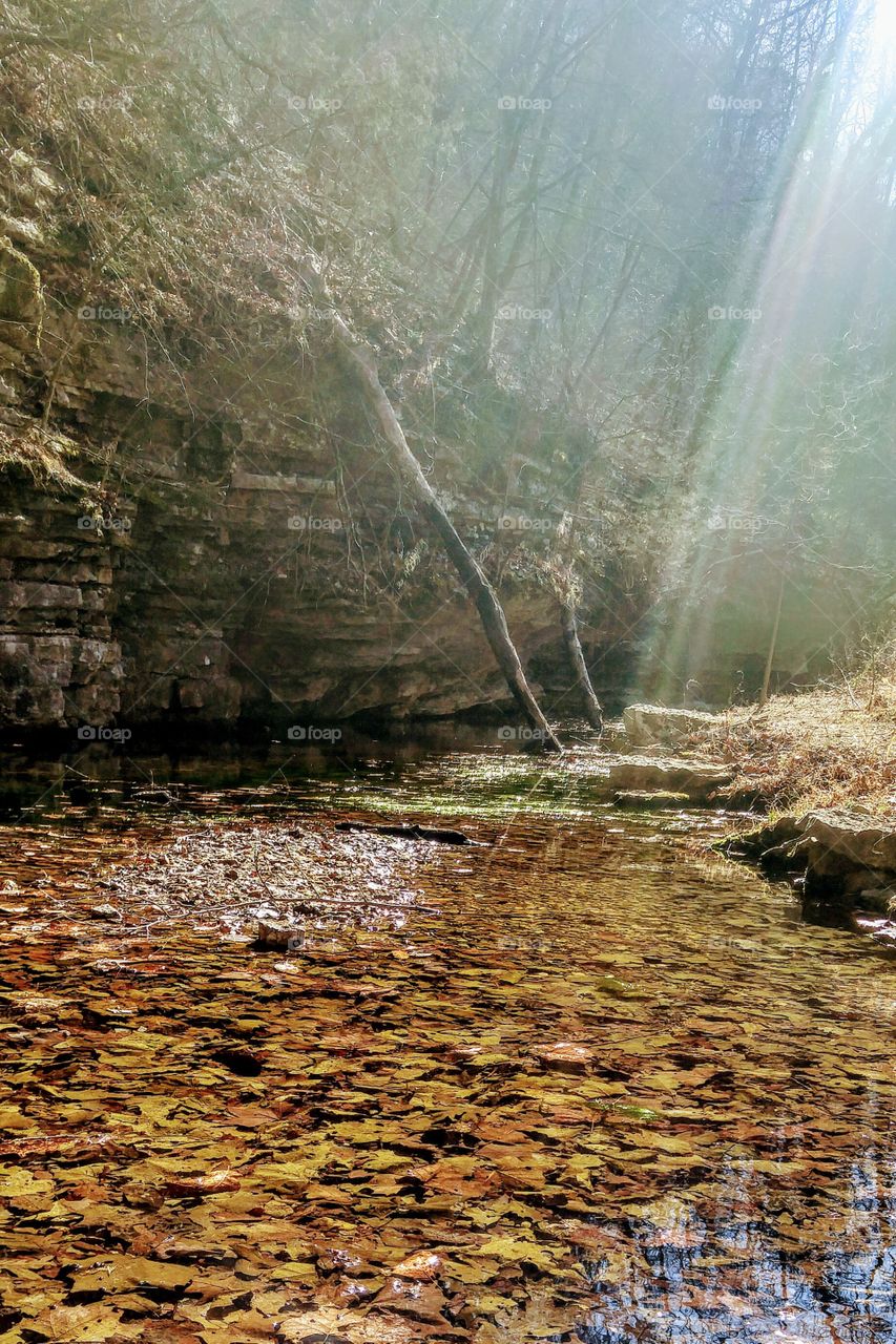 An Ozark Mountain Creek
