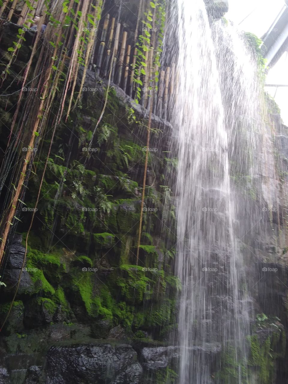 Omaha Zoo Rainforest Waterfall