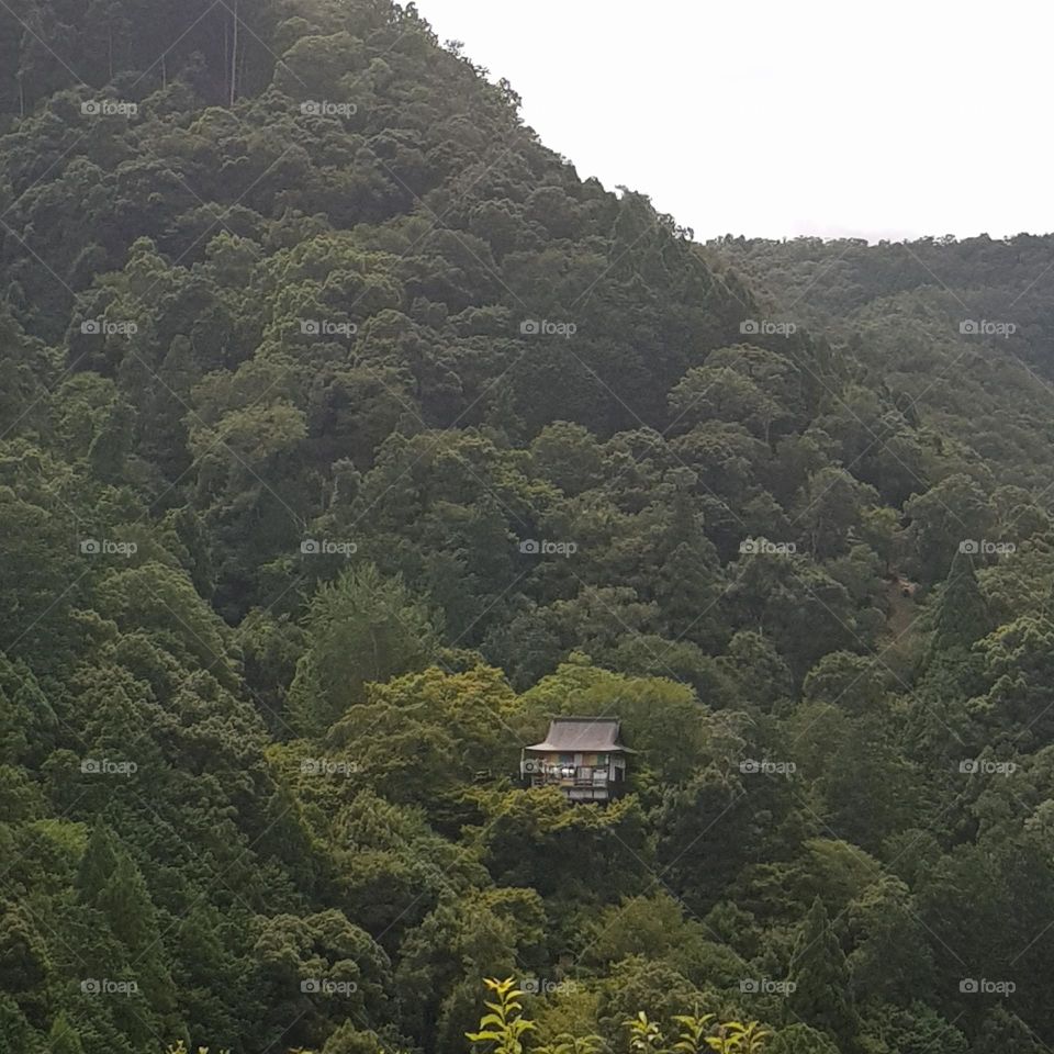 A house on the forest in Japan