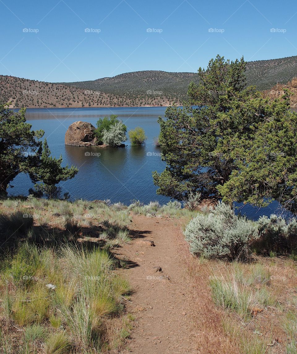 A dirt hiking trail leading down a hill with bushes and juniper trees into Prineville Reservoir with a partially submerged rock island with lots of rich blues in the water and the sky. 