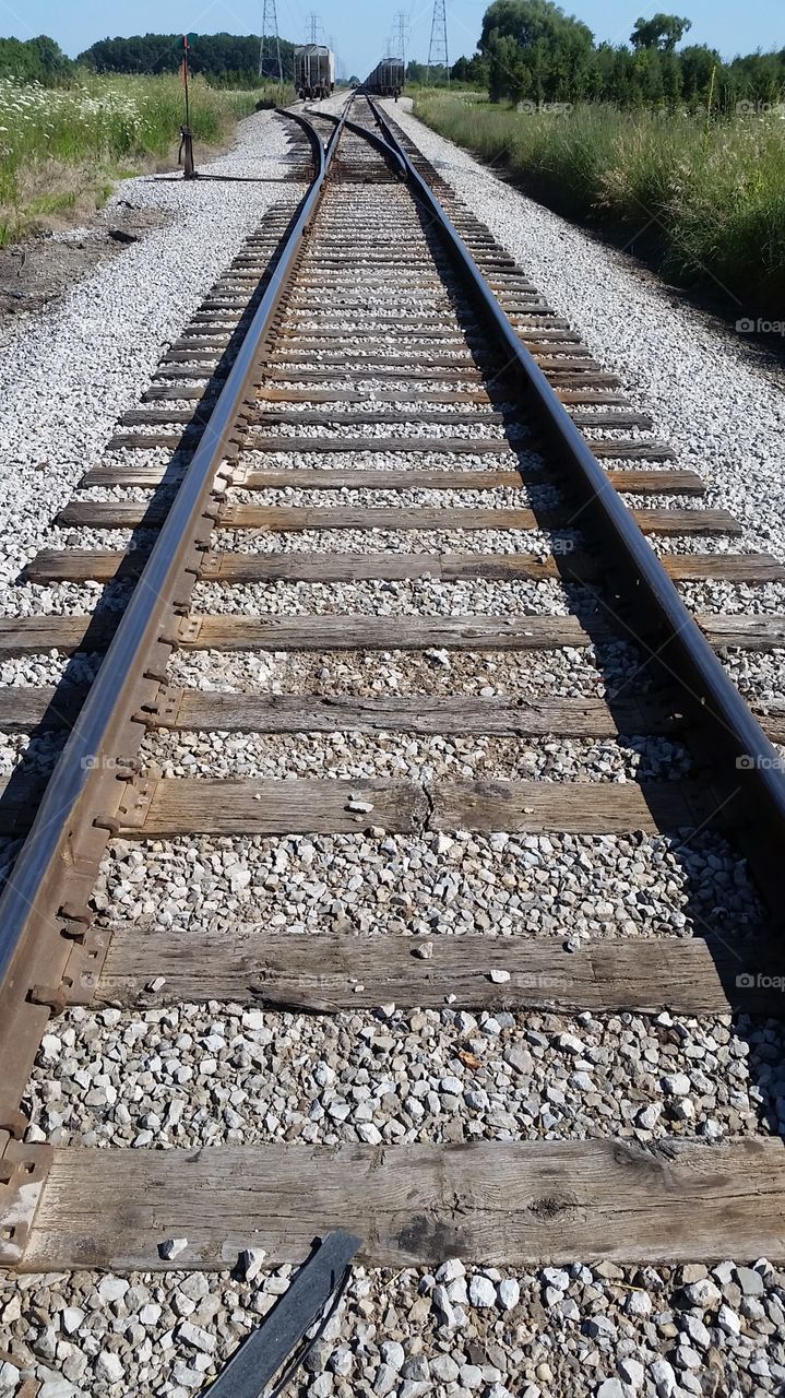 the rails diverged. Ann Arbor Township, working rail system