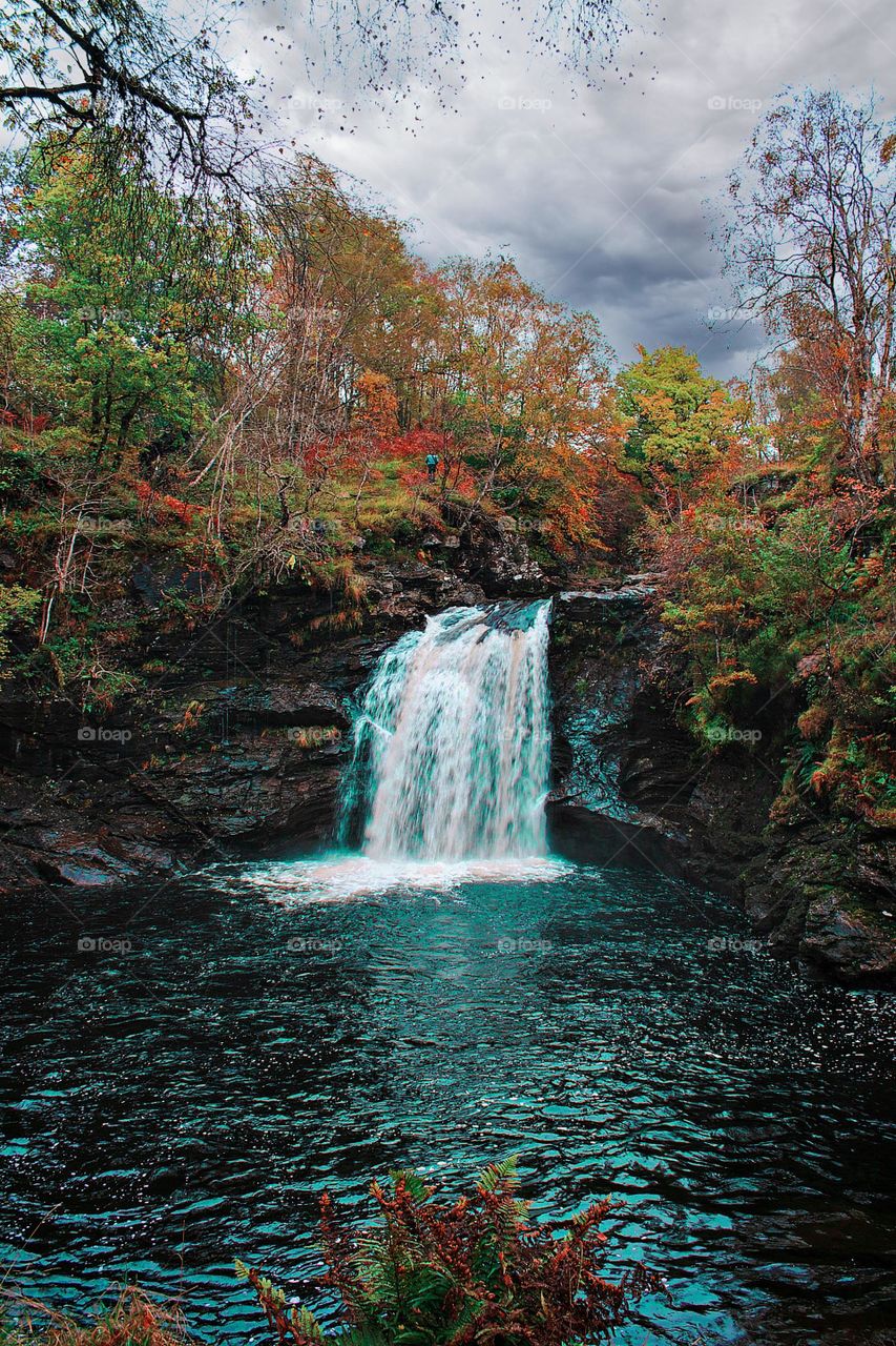 Waterfall in forest during day time