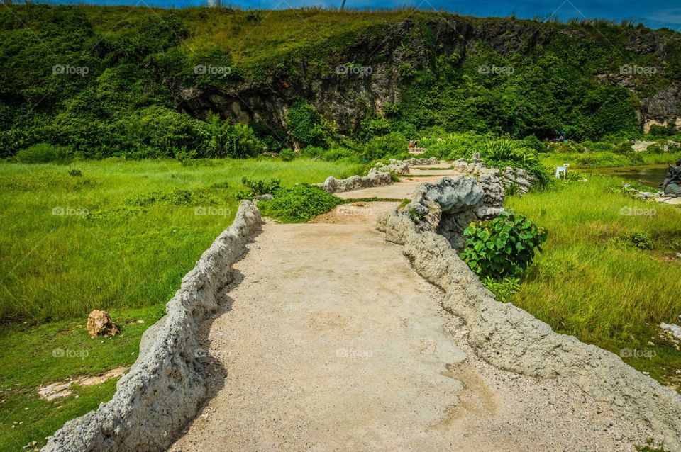 Road to the mountains