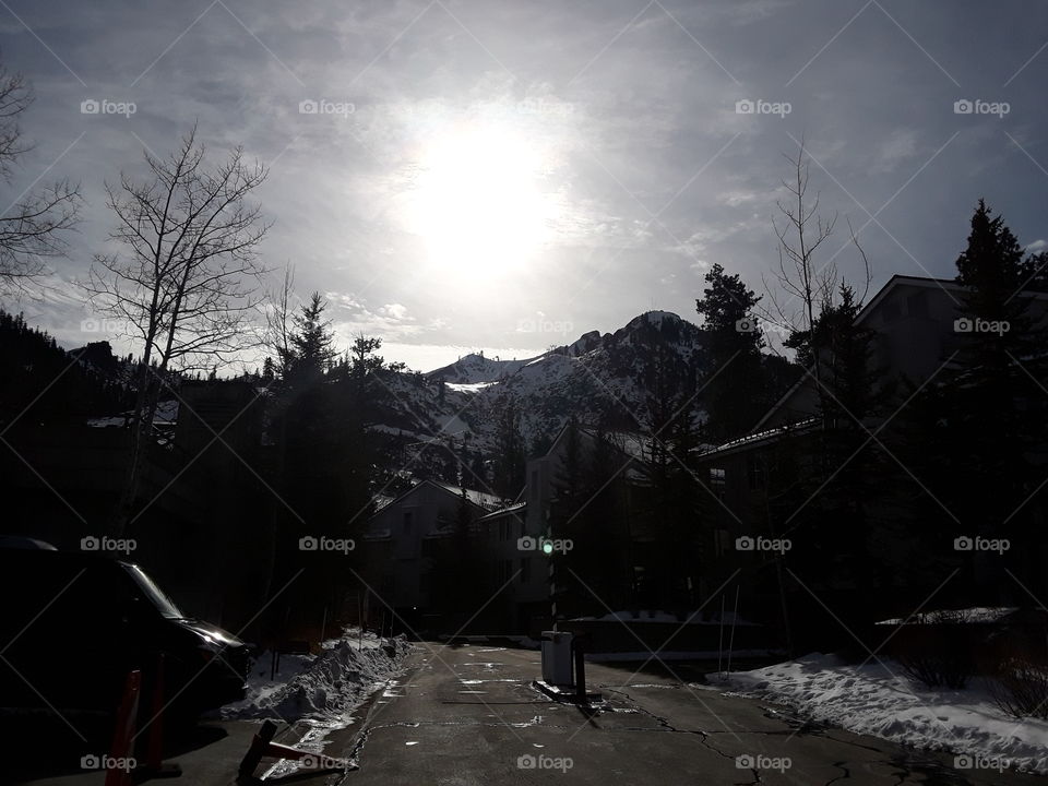 Landscape, Snow, Winter, Tree, No Person