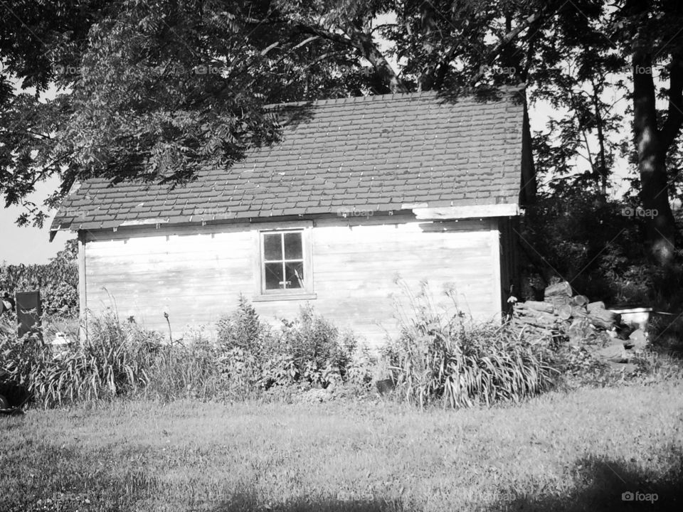Rustic black and white barn 
