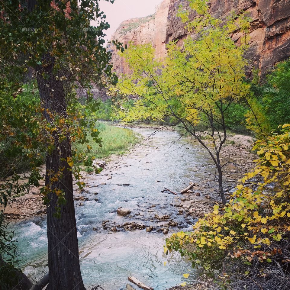 Zion National Park