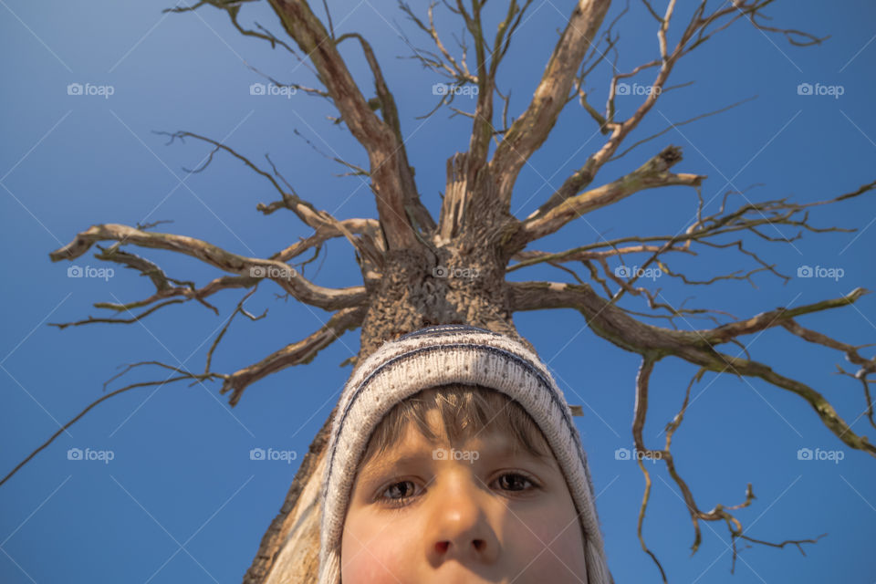 Old tree, b/w, Dąbrówka, Leszno, Poland