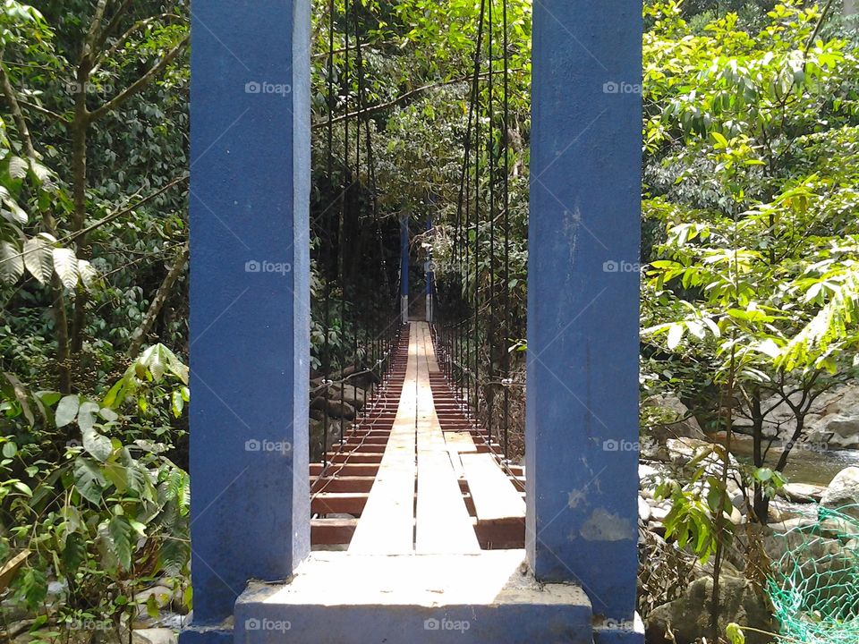 monkey bridge.sekayu park