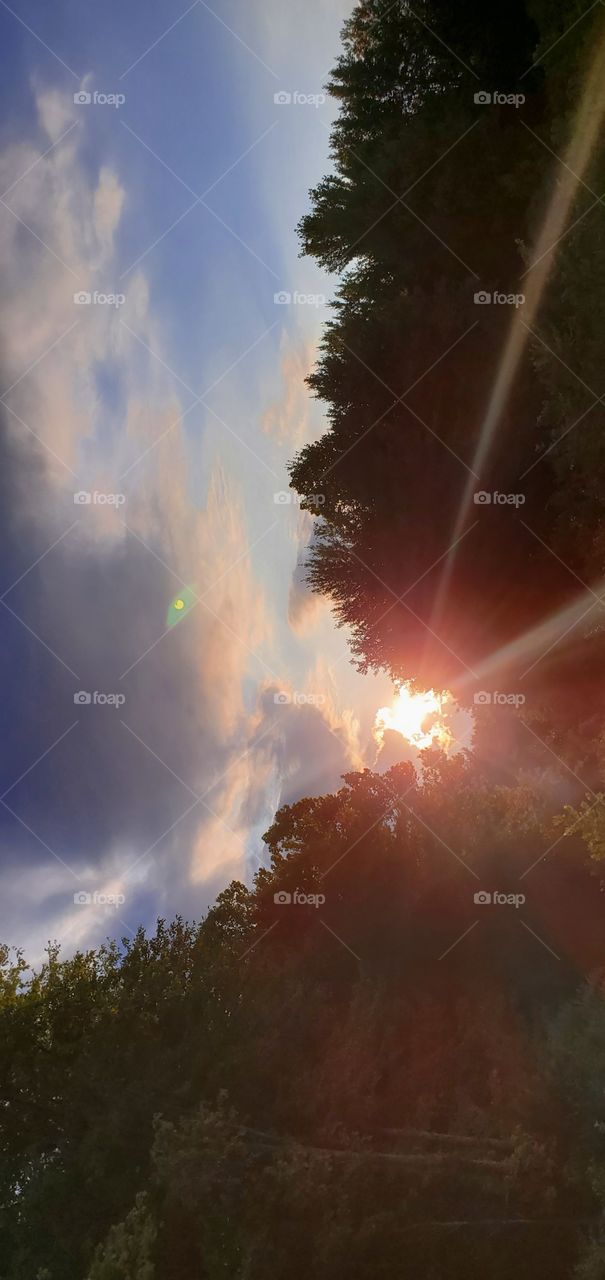 sun and clouds with trees