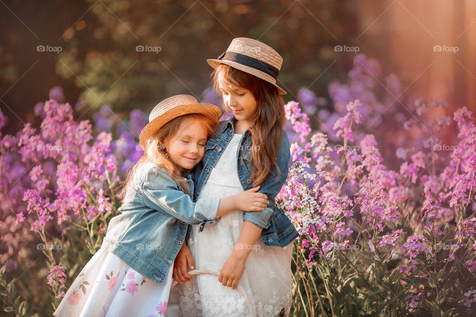 Cute little sisters portrait in blossom meadow at sunset 