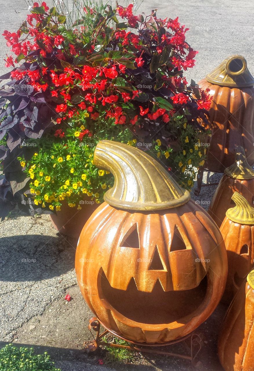 Halloween. Pumpkin Planter