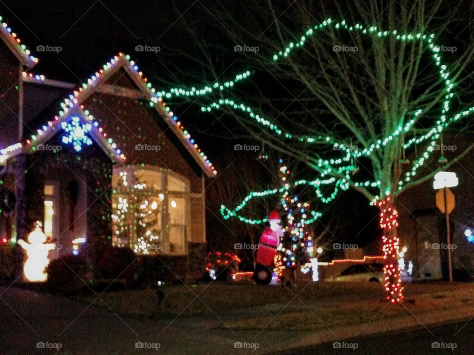 Portland area Christmas lights.
