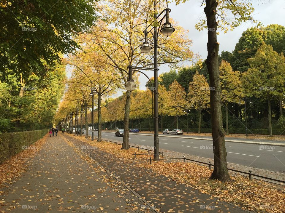 The Tiergarten in Berlin during Autumn